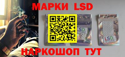 индика Гагарин