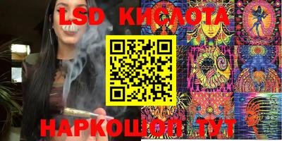 ECSTASY Гатчина