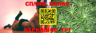индика Гагарин