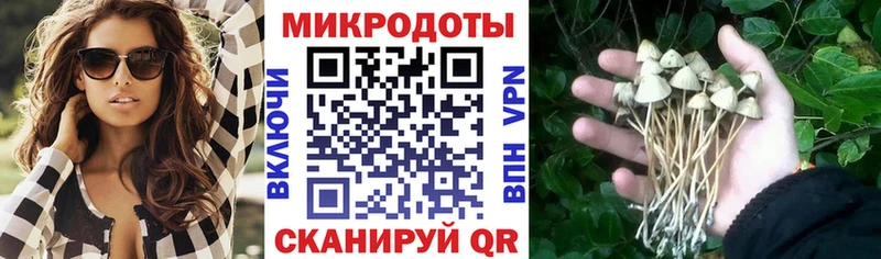 Псилоцибиновые грибы Psilocybe  цена   Люберцы 