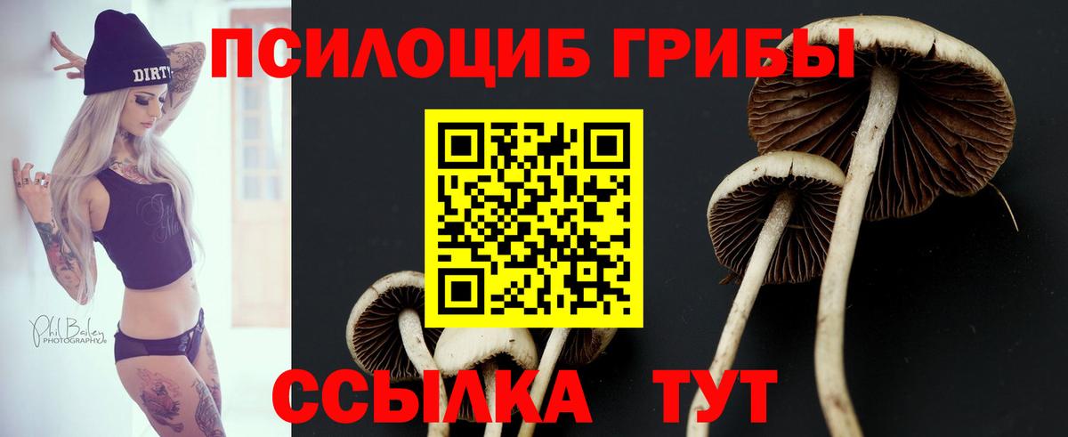 Галлюциногенные грибы мицелий  Псилоцибиновые грибы Magic Shrooms  Люберцы  Вход с VPN 